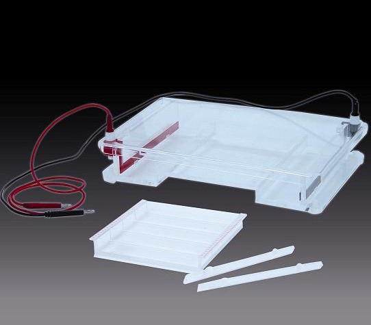 ��֬��ˮƽ�Ӿ�x(��)(��̖(h��o))DYCP-31F��