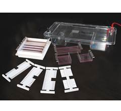 ˮƽ�Ӿ��SPDT��