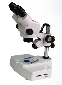 �m(x��)׃���wҕ�@΢�RXTL-2400D