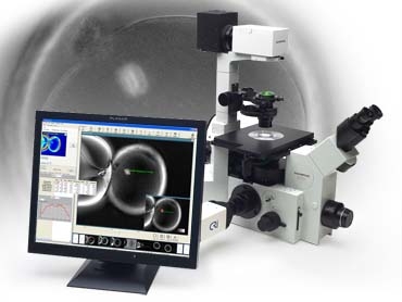 Oosight��������-���N�w�^�y�x