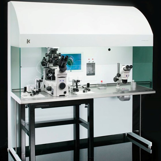 L126MP IVF�����@΢���������_(t��i)