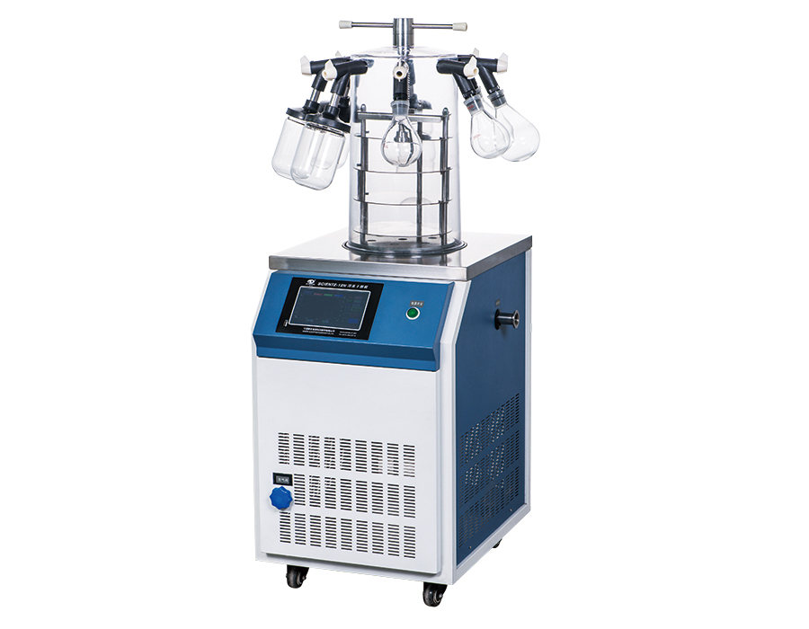 �������CSCIENTZ-12ND����܉��w��